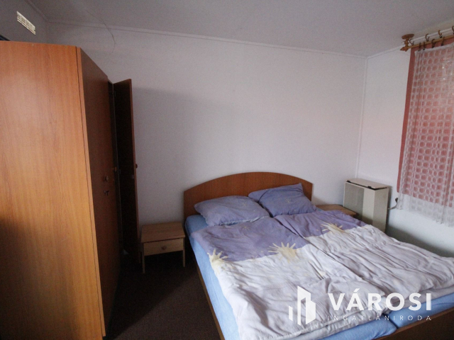 Ez nem üvegtigris, ez jobb! Ez Fapuma