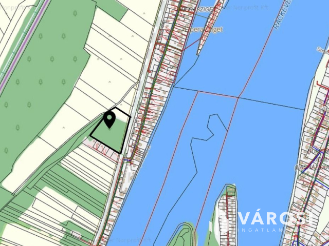 Szigetszentmártonban 11.000 nm-es erdő!