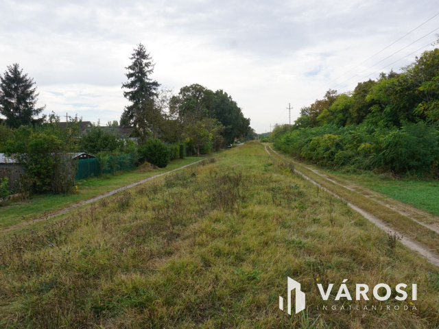 Szigetszentmártonban 11.000 nm-es erdő!