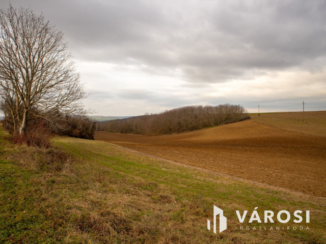 Erdősmárok mellett föld terület eladó