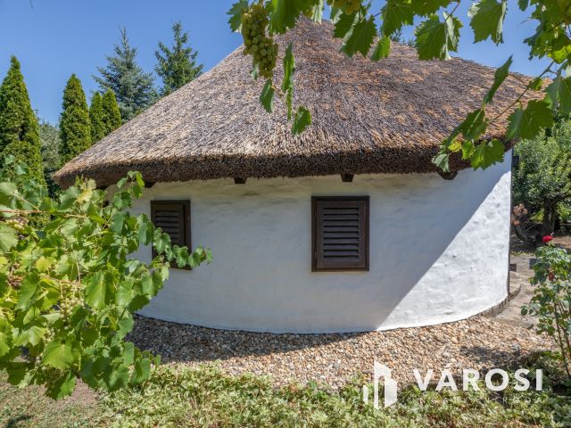 Újszegedi telek kulipintyóval