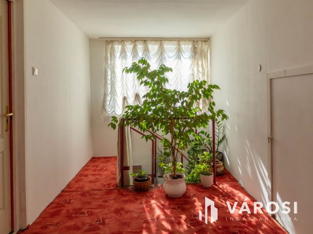 3 szobás családi ház Vésztő központjában