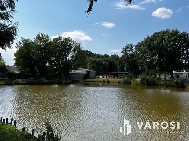 Simaság belterületi horgásztó,engedélyekkel6000m2 eladó!