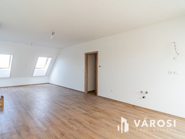 Penthouse a belváros szélén