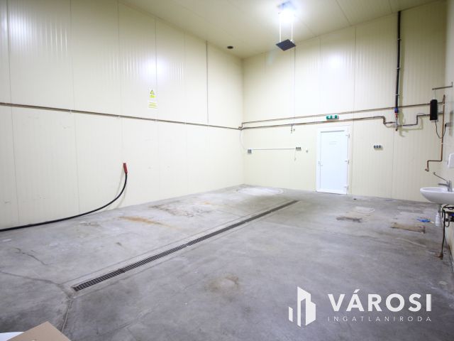 Vállalkozz profi környezetben.