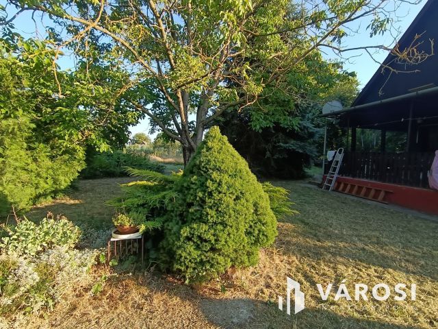 Vizparthoz közeli nyaraló eladó Dömsödön Pest megyében!