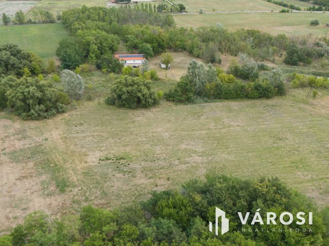 Teljesen felújított tanya nagy területtel és vízparttal