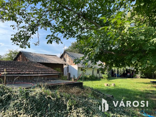 Debreceni 7,5 hektáros tanyagazdaság, csodás környezetben!!!