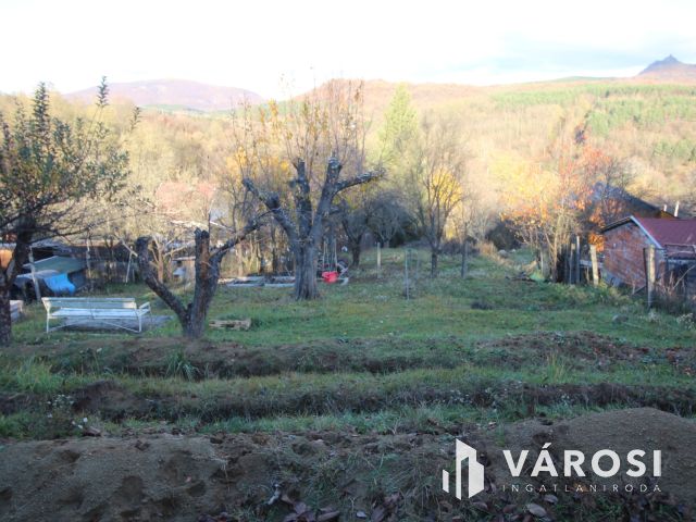 Rönkházzal együtt eladó üdülőtelek