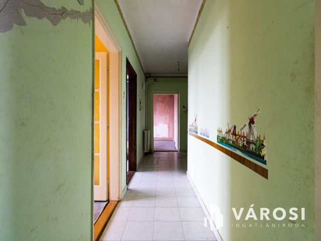 Medgyesbodzás fő utcáján ingatlan eladó