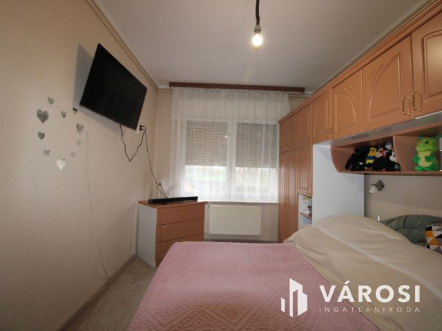 Kíváló lehetőség fiataloknak Dombegyházán